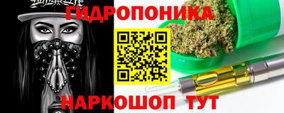 гашик Гусь-Хрустальный