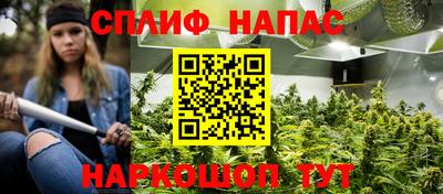 гашик Гусь-Хрустальный