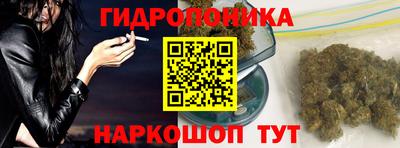 гашик Гусь-Хрустальный